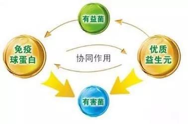 3b76165fe3f445b18f4a51dc861a9260.JPG