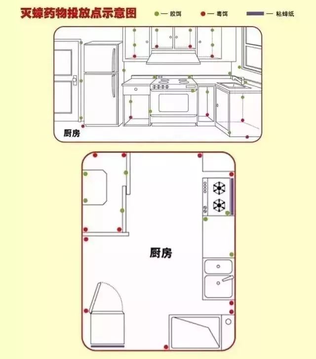 灭蟑螂的原理_毒饵的灭蟑作用原理与胶饵一样,施用时也要遵循\