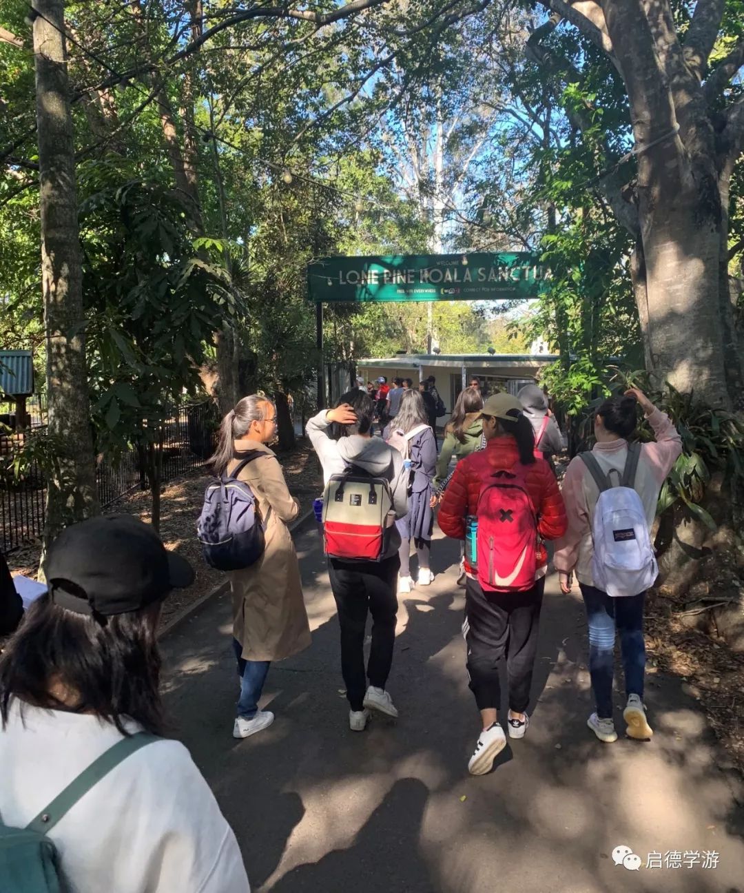 境外直播 | 走遍澳洲名校及全能发展训练营 DA