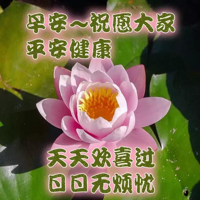 阳光暖人心的早上好闪动祝福图片带字