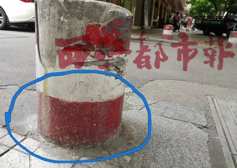 又见新兴路飘白絮,这到底是什么东西? pt电子游戏开户