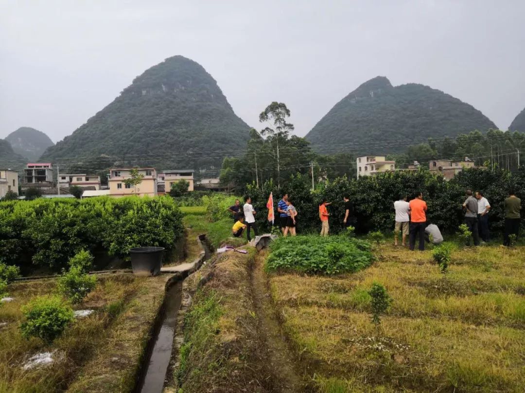 灵川人口_灵川六中图片(2)