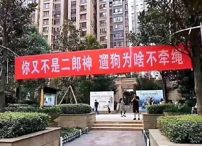 垃圾分类,从电脑做起
