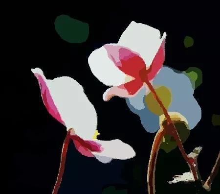 发际线高的男人面相 财运怎么样