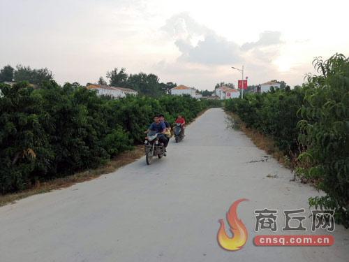 视觉新闻 美高梅在线网投
