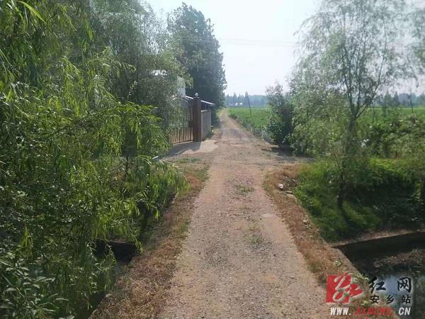 安乡县:胡岚调度交通项目建设及行业安全工作