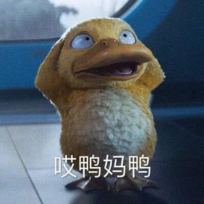 与黄磊老师的数鸭子歌同理?28256、28257的