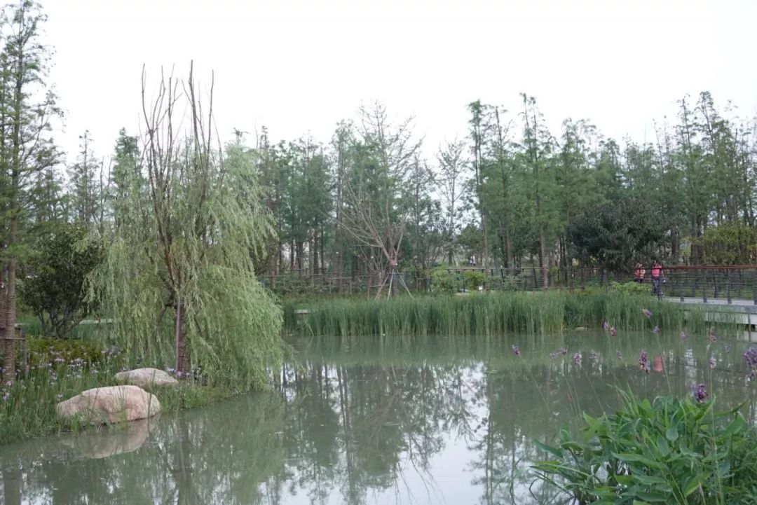 青浦又多了一座环城水系公园,好赞啊,快去吧!