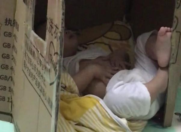                     “超享受宝宝”霸气占窝走红，抖着无处安放的小脚脚，萌化了