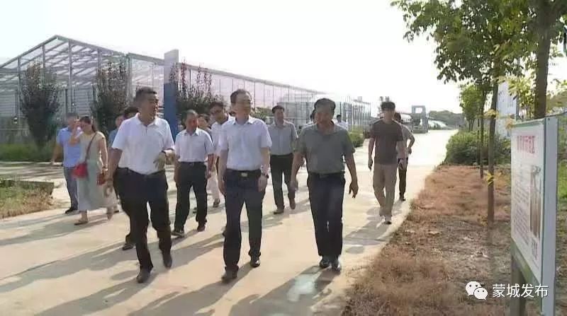 车照启基层组织干部要有担当敢作为要学会并用好三个三分之一议事法