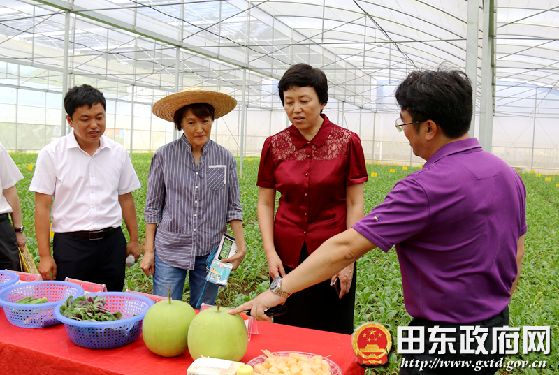 清华大学党委书记陈旭率队到田东县调研