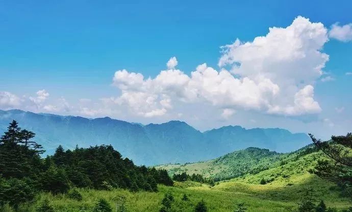 这里有华中地区第一高峰,还有机会看到珍稀动物金丝猴,草木茂盛,溪水