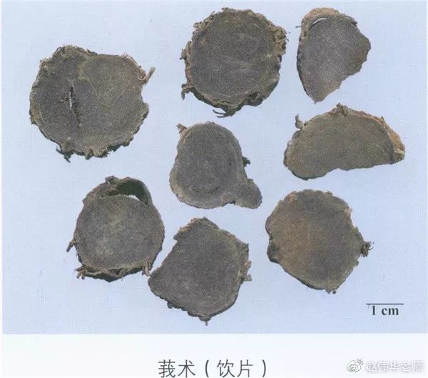 超全!常用200味中药彩图图谱