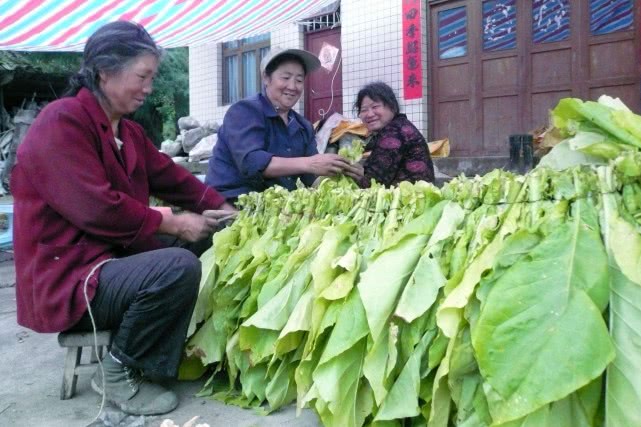 以前在农村常见老人吸旱烟为什么现在吸旱烟的老人越来越少