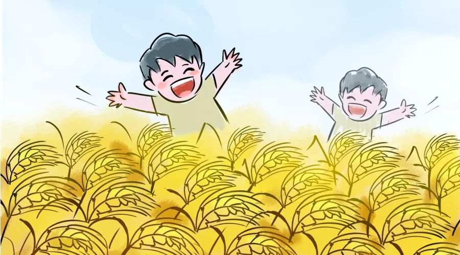 为什么小麦可以疏肝养心呢