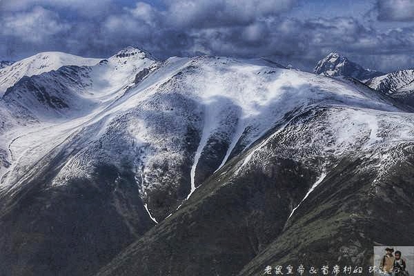 在万米高空俯视圣洁玉树,美不胜收,更有大象和玉兔为她歌舞 新利18在线登陆