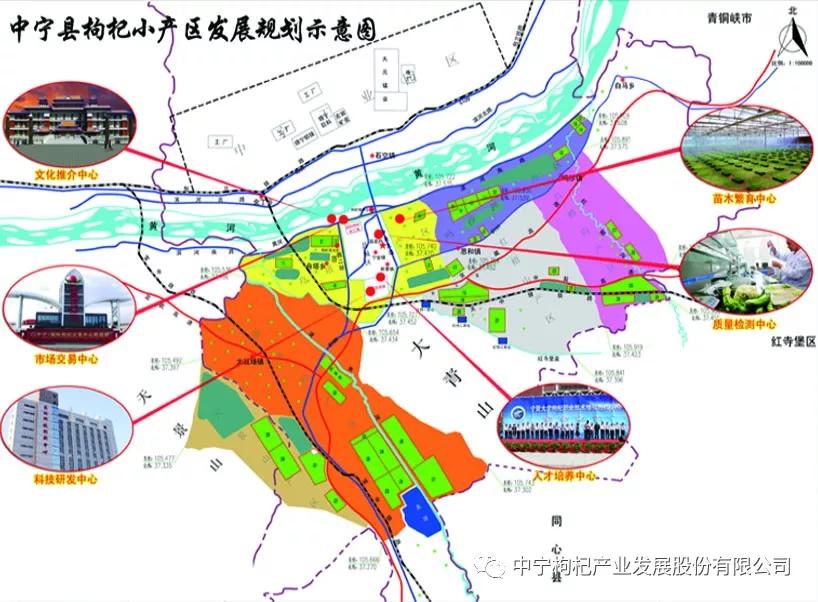 吃枸杞会上火?那是你不了解中宁枸杞