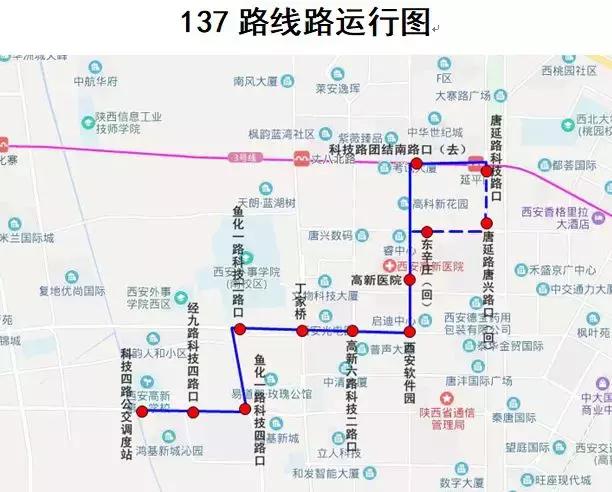 明起,137路公交线路开通!