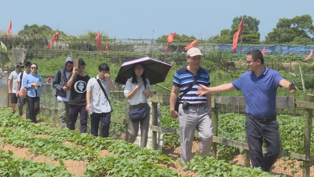 未来可期!住进200年历史的石头房子是什么体验
