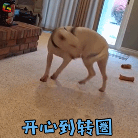 【报名】这里有一份好公益平台路演参会指南等你签收!