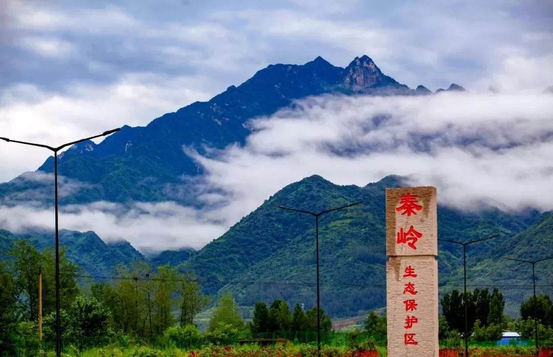 世上最远的距离，是你在秦岭以北，我在淮河以南 | 神州风物