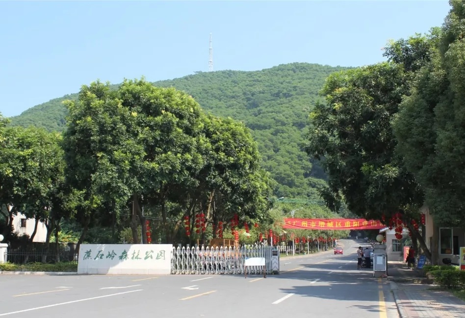 受暴雨冲刷及雨水浸泡等影响,蕉石岭森林公园部分山体发生滑坡及塌方.