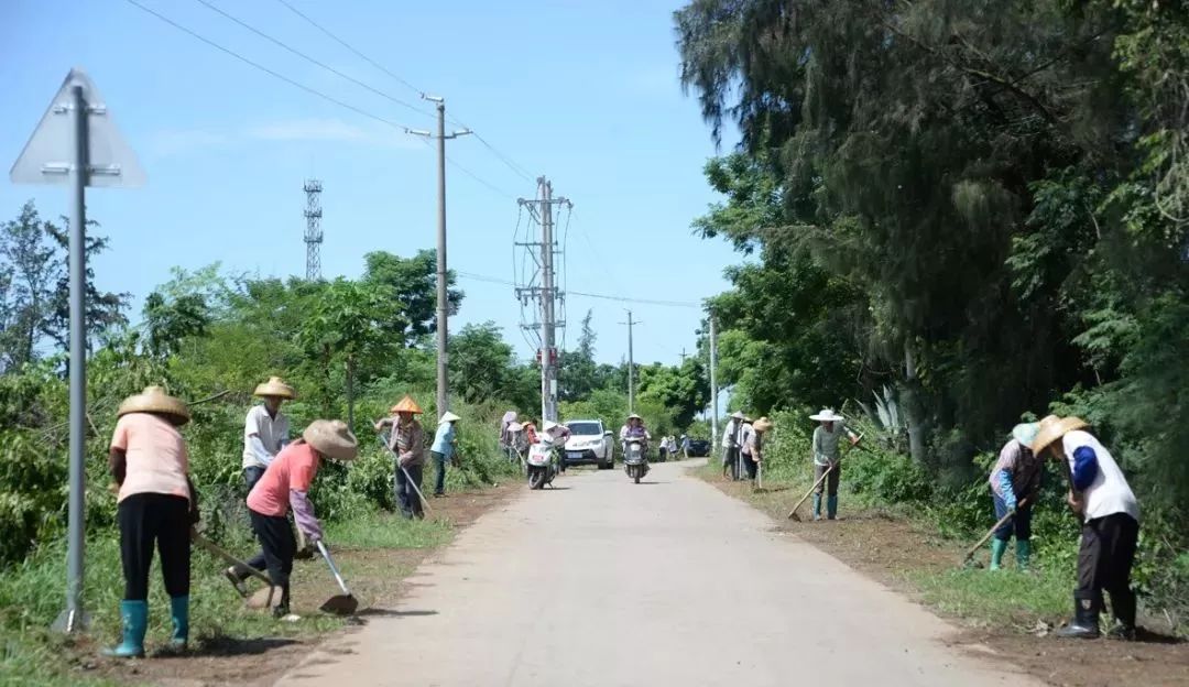 视频雷州举全市之力推进农村人居环境整治