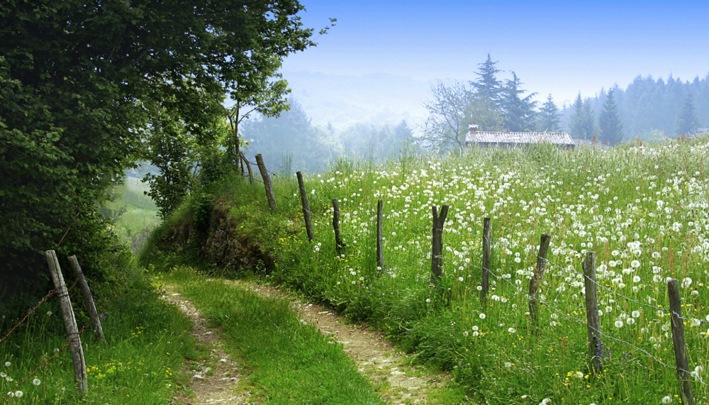宋代苏轼《渔家傲·赠曹光州》古诗欣赏及解析 涨知识