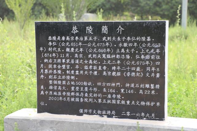 原创葡萄熟的季节洛阳市偃师徒步旅行游唐恭陵体验风土人情