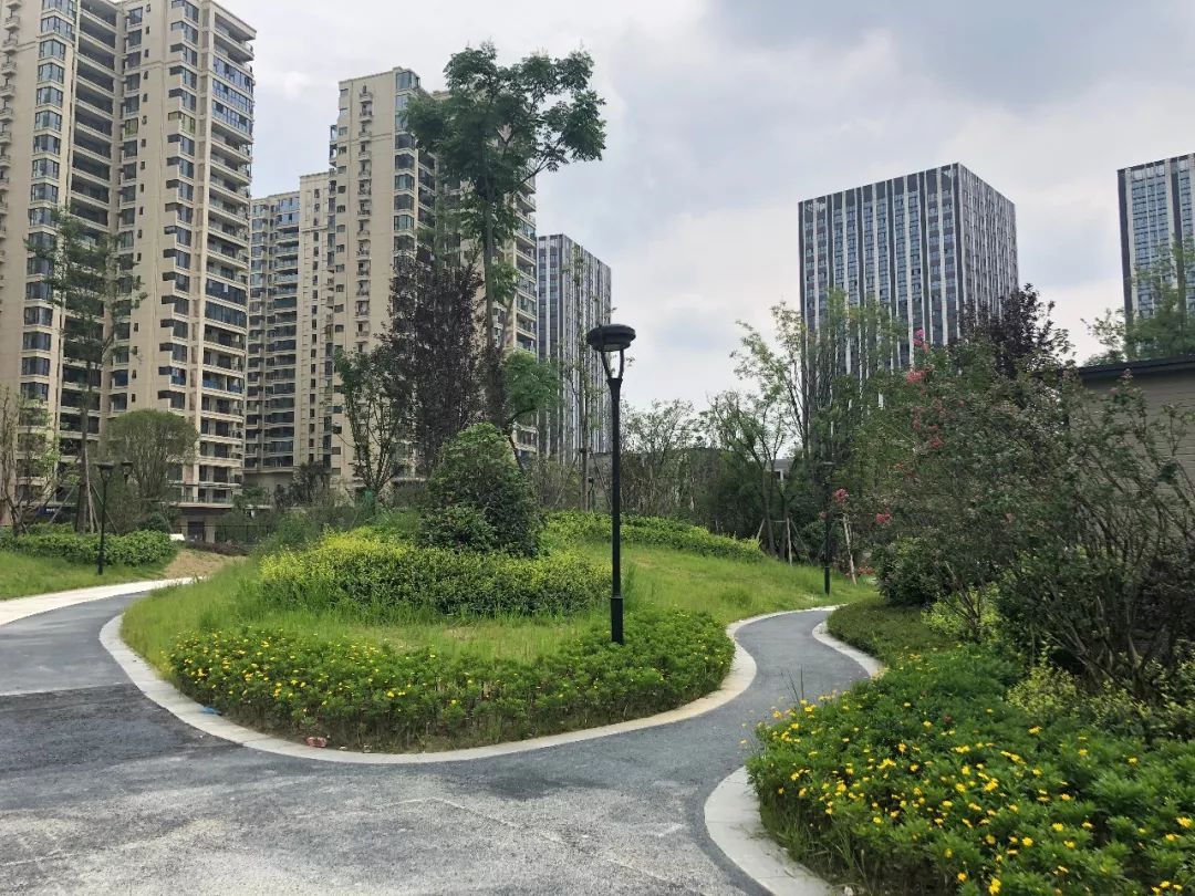 万花公园建成!将成青羊饭后遛弯儿最热闹的地