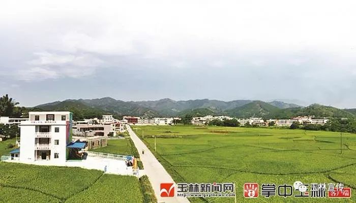 北流市积极探索党建模式按下乡村振兴快进键