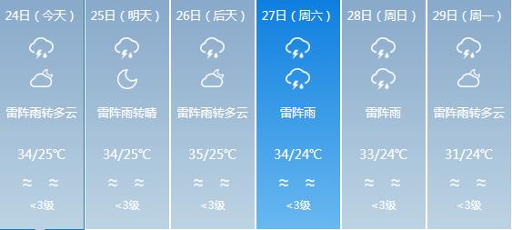 白沙每日工作动态(2019年7月24日)