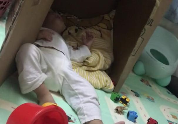                     “超享受宝宝”霸气占窝走红，抖着无处安放的小脚脚，萌化了
