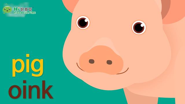 小猪pig发出的声音出哼哼声是“oink”镜头对准小猪pig发出的声音出哼哼