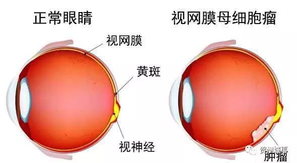 恳请大家帮帮忙!