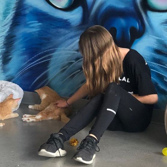 13岁美少女竟是铲屎大户,一年时间接手39只喵