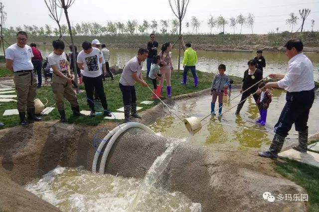 开平古冶含接送悄然崛起的游玩圣地曹妃甸多玛乐园一日游天天发团