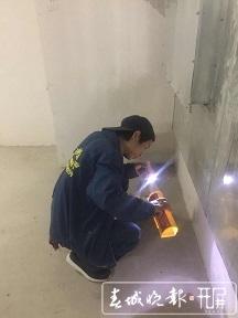 昆明城里有群专业除鼠人!这是一份有味道的工作 电子游艺app大全