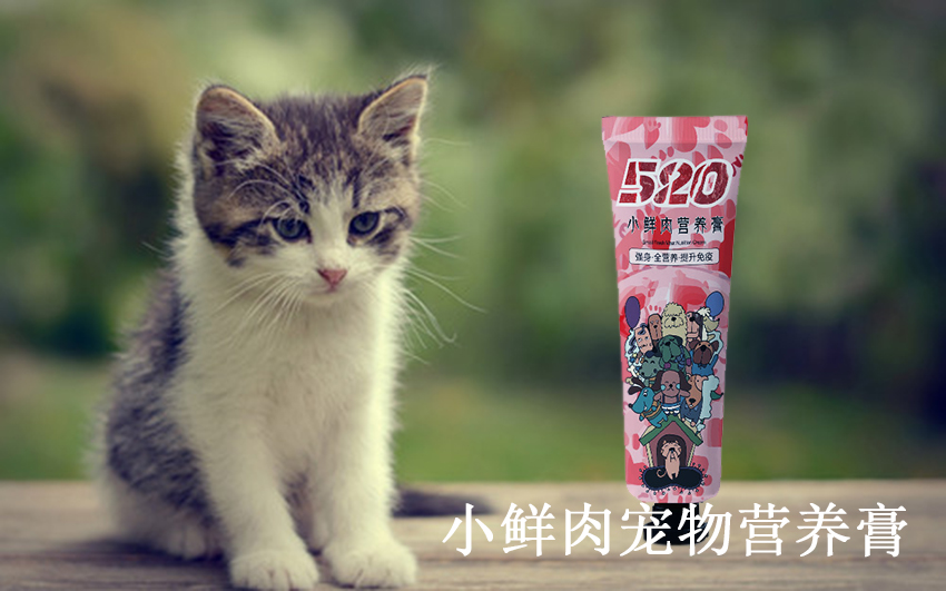 猫咪多大时适合做绝育?