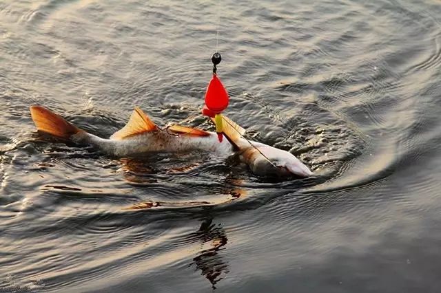 海杆打窝怎么用