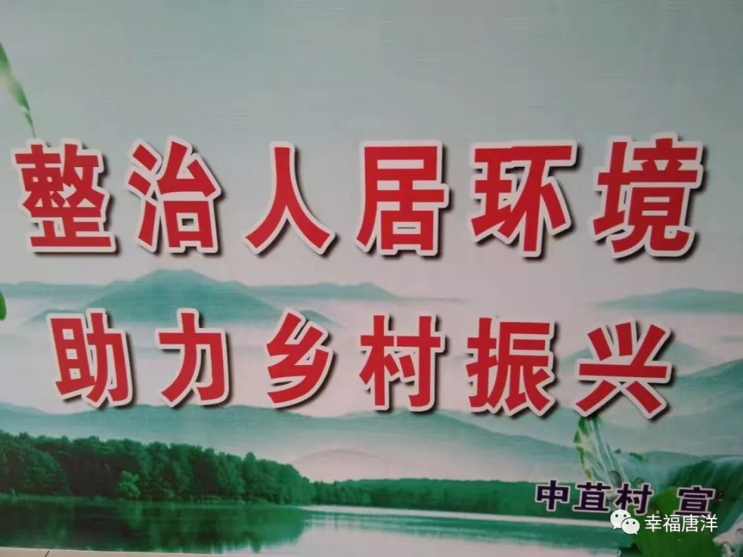 文明实践在行动中苴村扎实开展人居环境整治