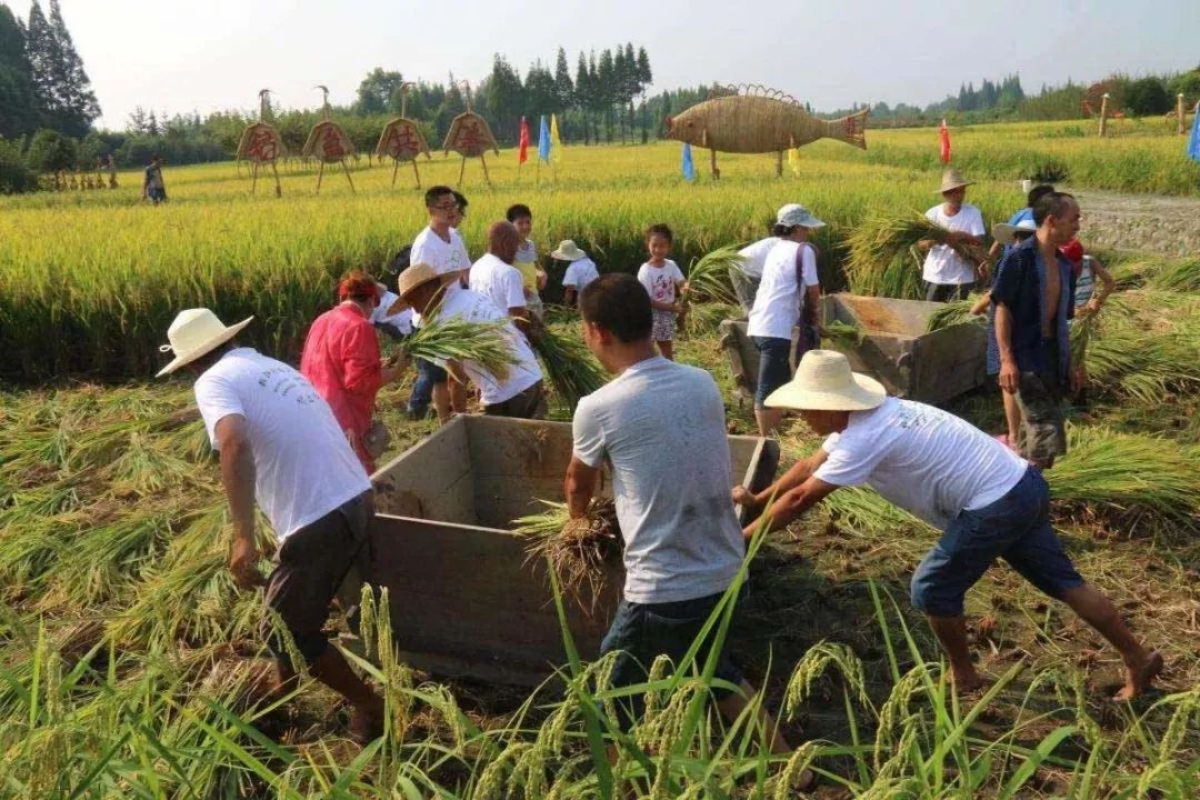 休闲农业与开云体育 Kaiyun.com 官网入口乡村旅游产业杂谈！