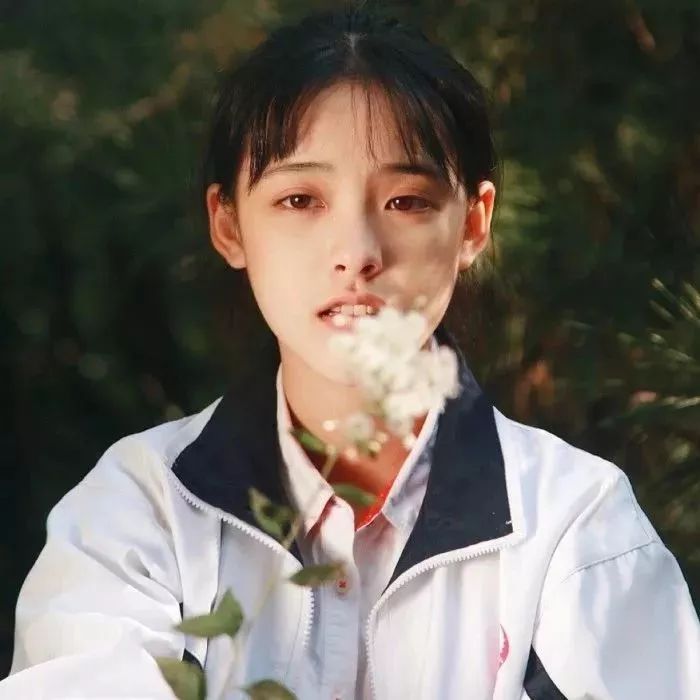 小清新头像 | 2019新版微信头像图片