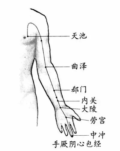三伏天,拍打手臂上的一条线,好比吃人参! 澳门赌博游戏平台