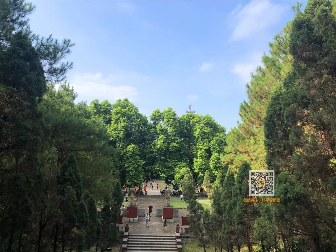 桂平这个地方风景独好空气清新跑步散步晨练好去处
