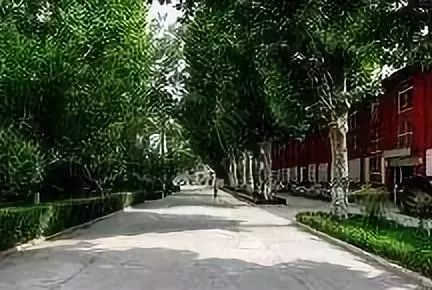 考不上物理,也上捷径,初中生上大学的大学!高中高中文库一总结知识点v物理百度图片