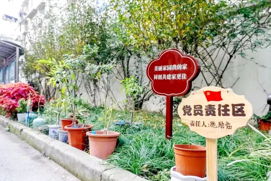 老旧小区物业管理难?看"党建 自治"模式如何破解!