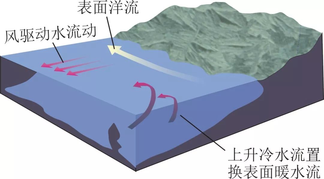 补偿流是指由海水的补偿作用而形成的流动.