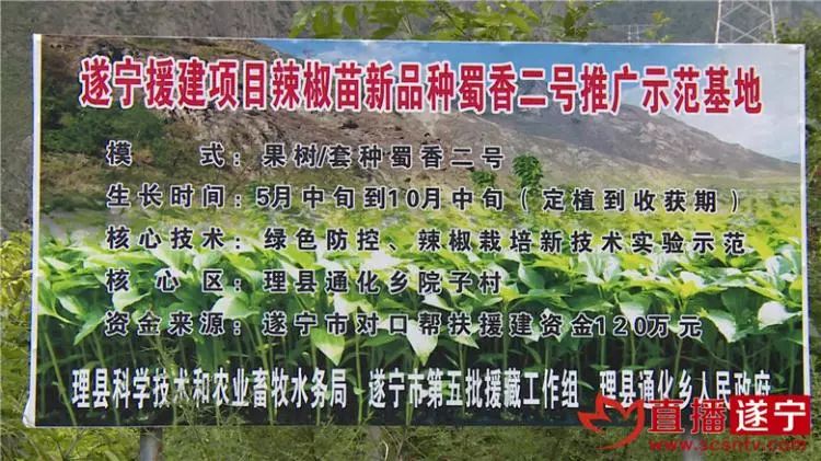 理县农业人口_理县下孟小学胡余华