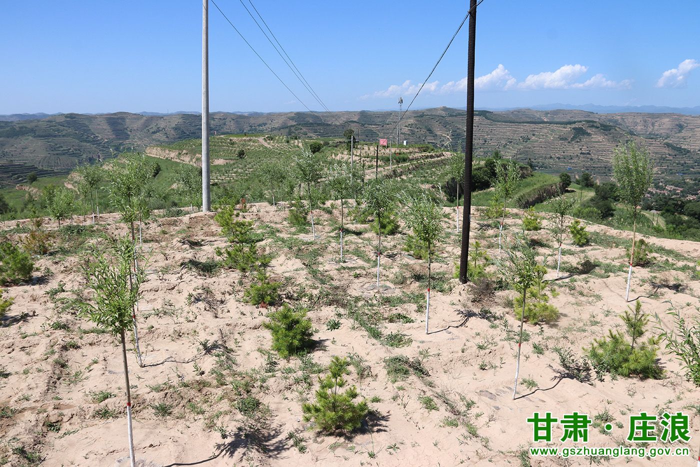 赵墩乡万亩梯田果园标准化管理基地编辑:柳君平 审核:吴君铭返回搜狐